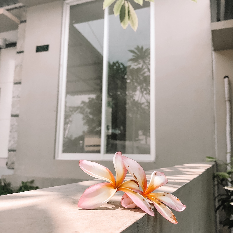 GHARA JINGGA RESIDENCE
